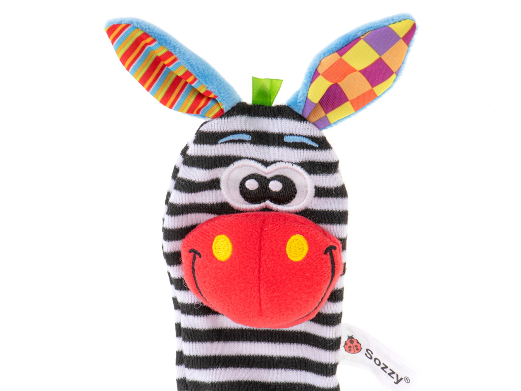 Rattle-toy-foot-socks-2pcs-164287