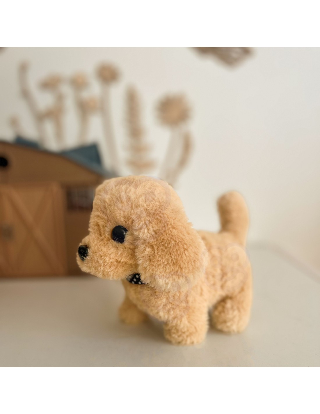 aaaa
