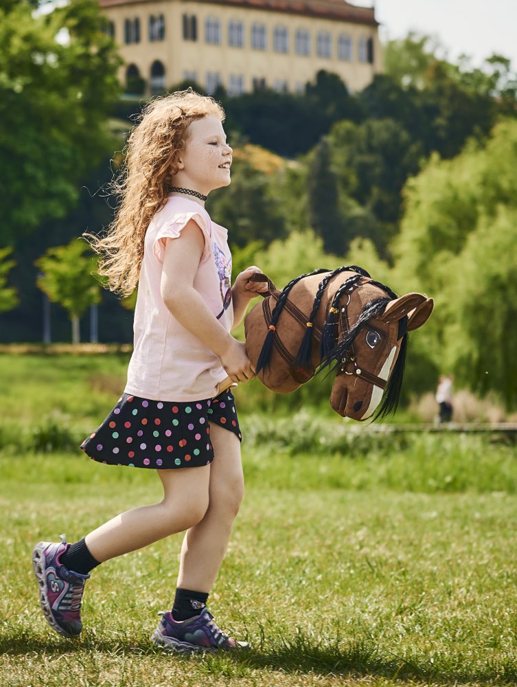 hobby_horse_arkliukas_ant_pagalio_1
